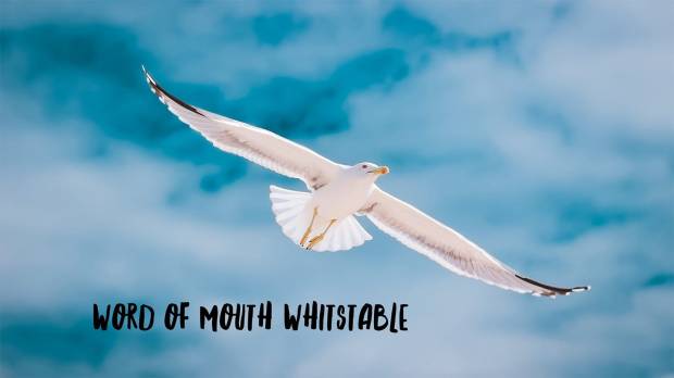 WoM Whit Umbrella general poster